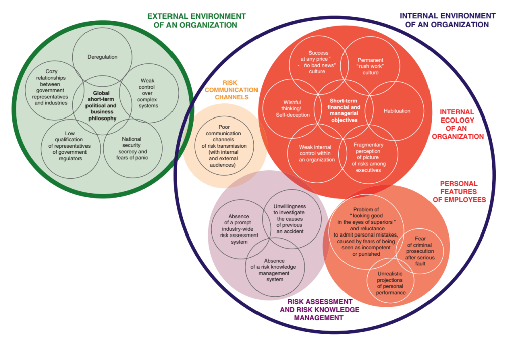 Chernov and Sornette's model of the factors causing or contributing to risk concealment that leads to a disaster.